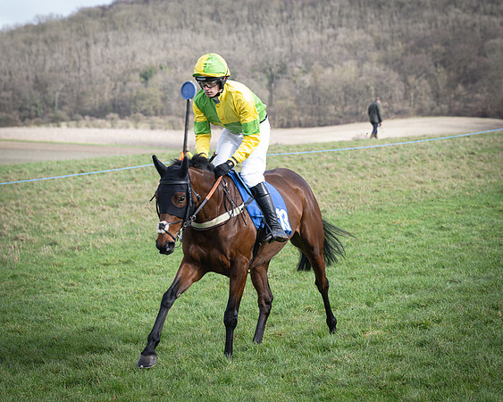 Race 1 - Four and Five year Old Maiden (62 of 137)