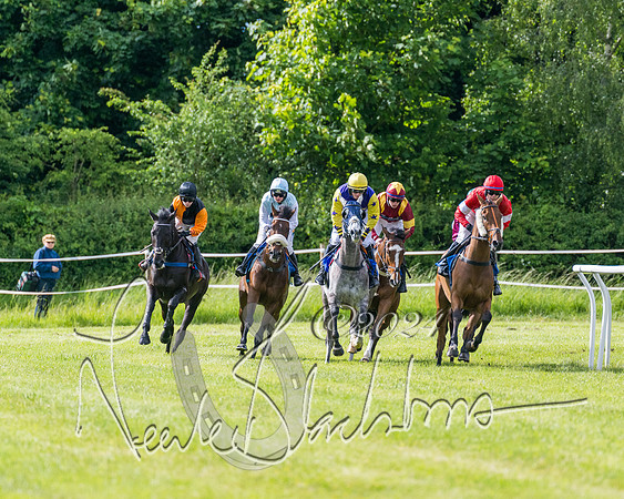 Race 5 - Restricted Race (187 of 434)