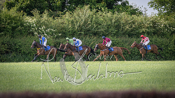 Race 6 - Thorn Plant Hire Maiden Race (62 of 129)