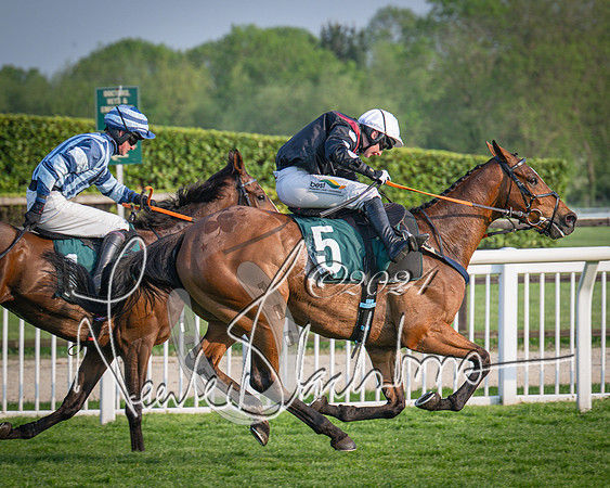 Race 4 - The Jonathan Neesom memorial open Hunter’s steeplechase 3m2f 70y (109 of 167)