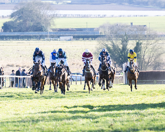 Race 5 - Maiden (74 of 123)