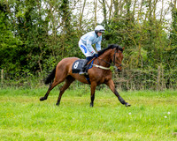 Race 3 - Young Horse Maiden (9 of 216)