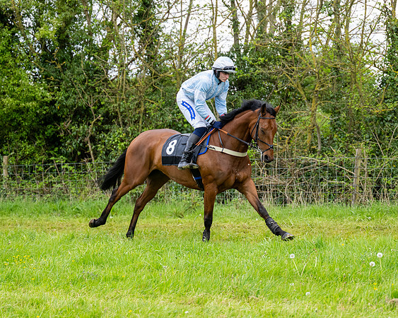 Race 3 - Young Horse Maiden (9 of 216)