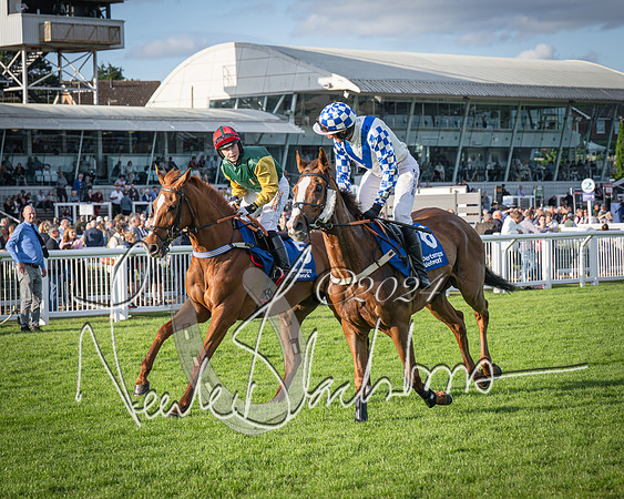 Race 4 - Peretemps Stratford Foxhunters (34 of 168)