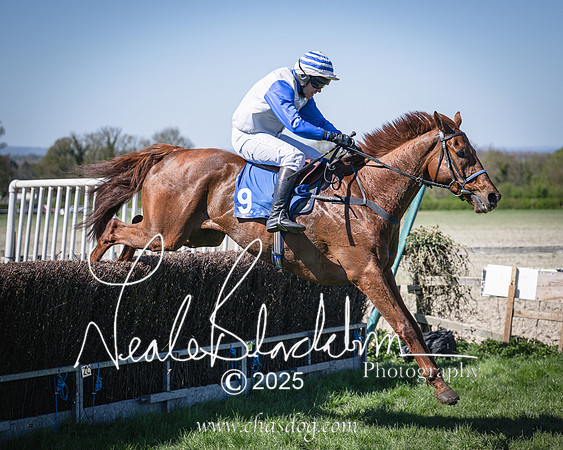 Race 2 - The Maiden (86 of 118)