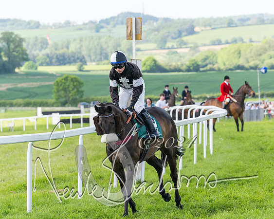 Race 4 - PPORA Novice Riders Final  (74 of 362)