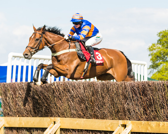 Race 4 - Ladies Open (36 of 78)