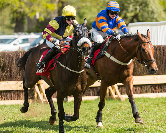 Race 4 - Ladies Open (54 of 78)