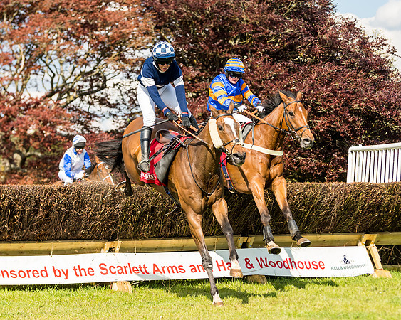 Race 4 - Ladies Open (62 of 78)