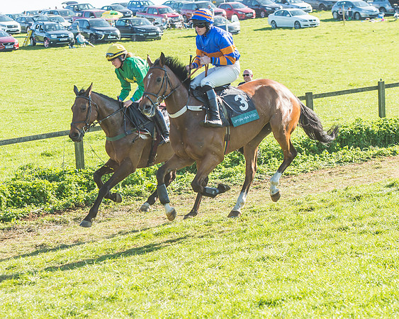 Race 6 - The Open Maiden-67