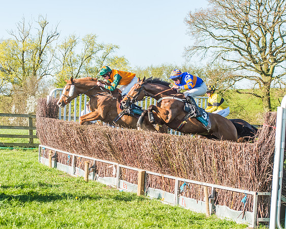 Race 6 - The Open Maiden-143