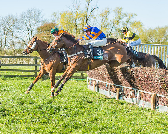 Race 6 - The Open Maiden-146