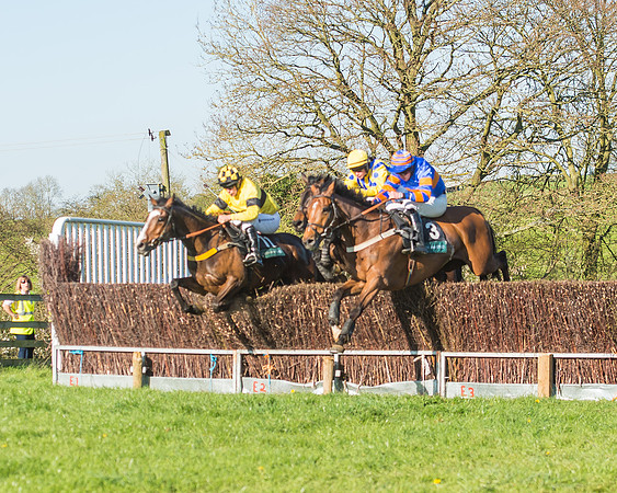 Race 6 - The Open Maiden-168