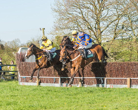 Race 6 - The Open Maiden-169