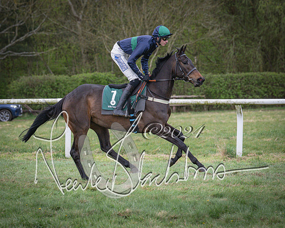 Race 7 - The Jockey Club maiden race for Mares and Fillies only (5 of 96)