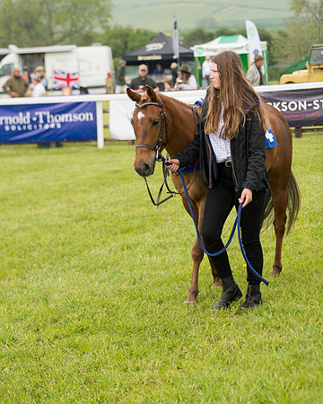 Pony Race 2 (15 of 113)