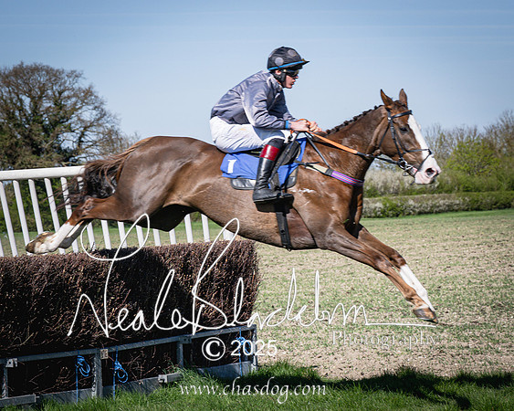Race 5 - The restricted (56 of 113)