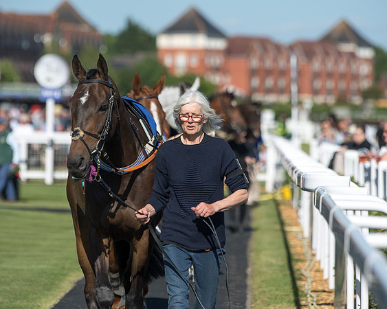 Race 1 - PPSA Open Hunter chase (3 of 78)