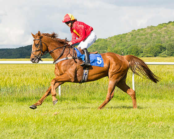 Race 5 - Restricted  (24 of 136)