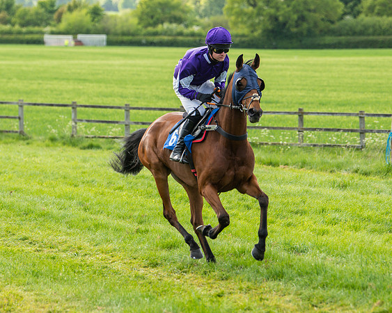 Race 6 - Maiden [2m4f] (18 of 135)