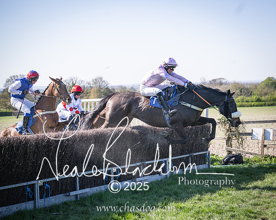 Race 6 - Veteran horse (95 of 109)