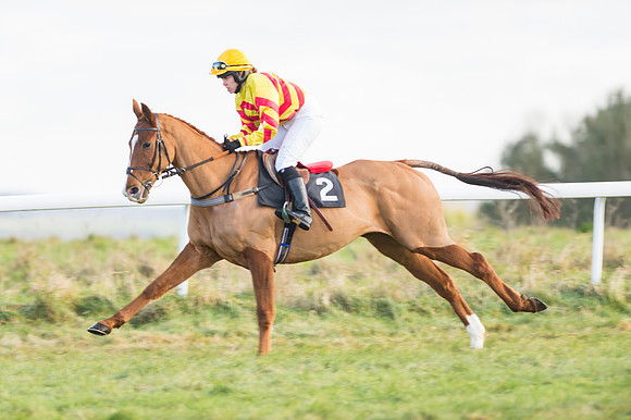 Race 2 - Ladies Open-6