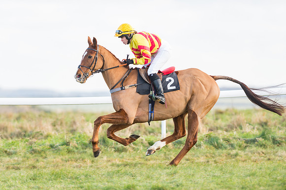 Race 2 - Ladies Open-7