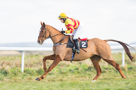 Race 2 - Ladies Open-8