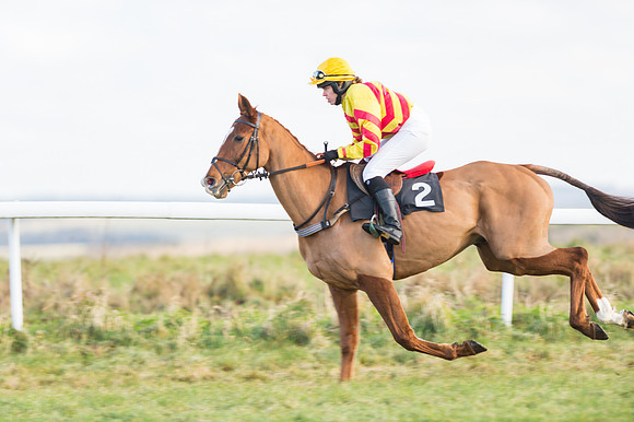 Race 2 - Ladies Open-9
