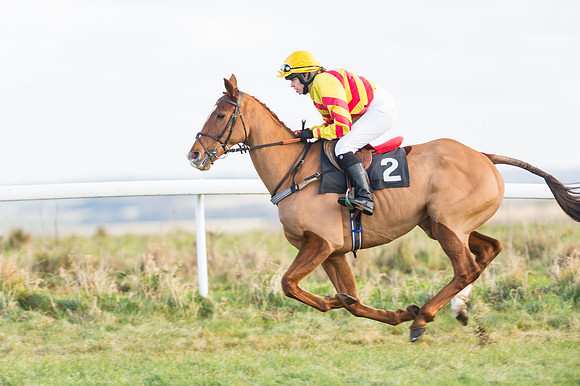 Race 2 - Ladies Open-10