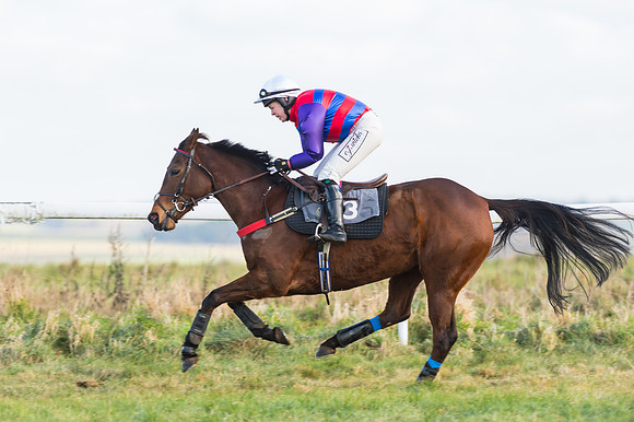 Race 2 - Ladies Open-11