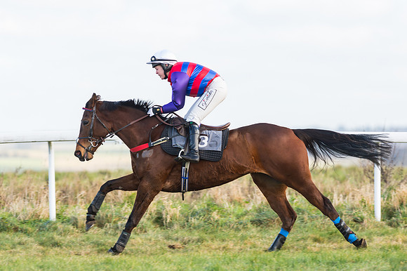 Race 2 - Ladies Open-12