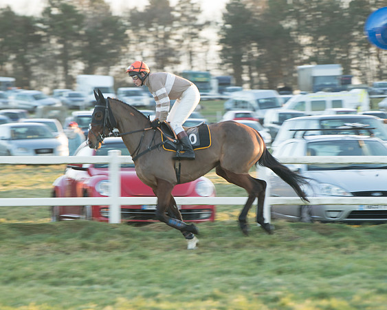 Restricted Race