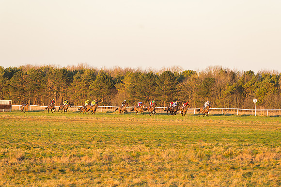 Restricted Race