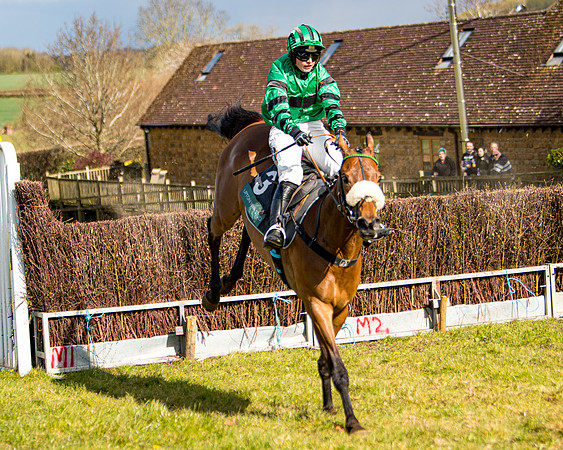 Race 4 - Mixed Open  (52 of 73)