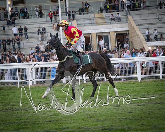 Race - 7 The Royal Gloucester Hussars Open Hunter's steeplechase 2m4f 127y (60 of 210)