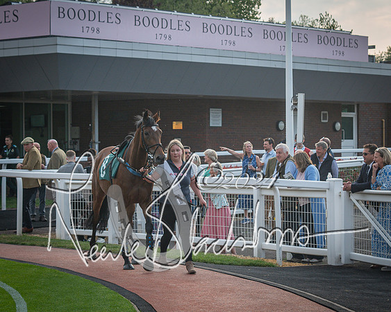 Race 5 - Mares Open Hunter Steeplechase 3m2f 70y (5 of 269)