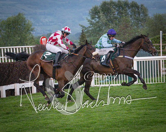 Race - 7 The Royal Gloucester Hussars Open Hunter's steeplechase 2m4f 127y (116 of 210)