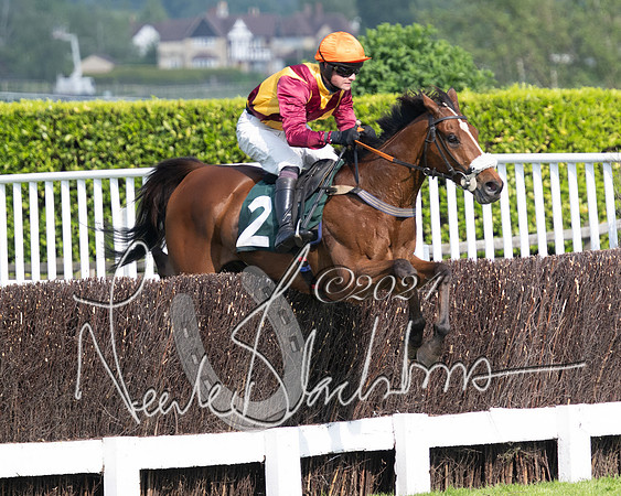 Race 1 - The Bottle Green Open Hunters steeplechase 2m62y (53 of 93)