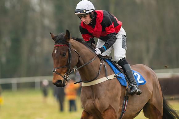 Restricted