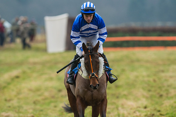 Novice Riders
