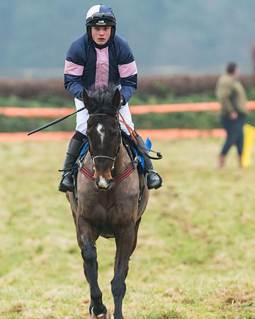 Novice Riders