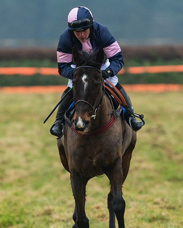 Novice Riders