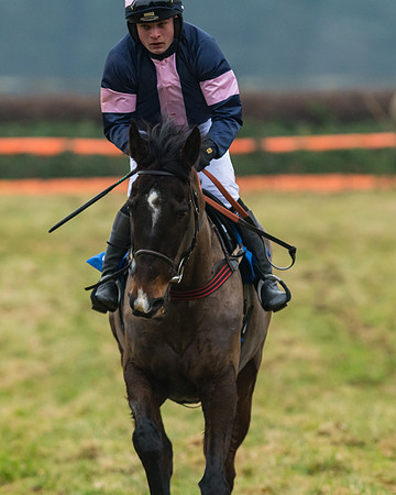 Novice Riders