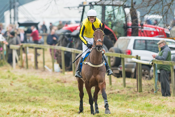 Novice Riders