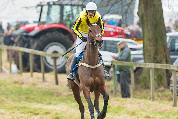 Novice Riders