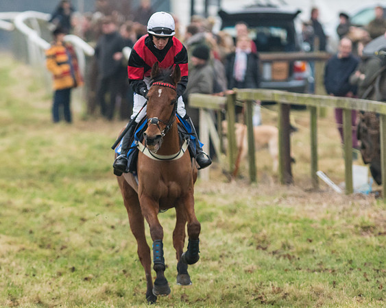 Novice Riders
