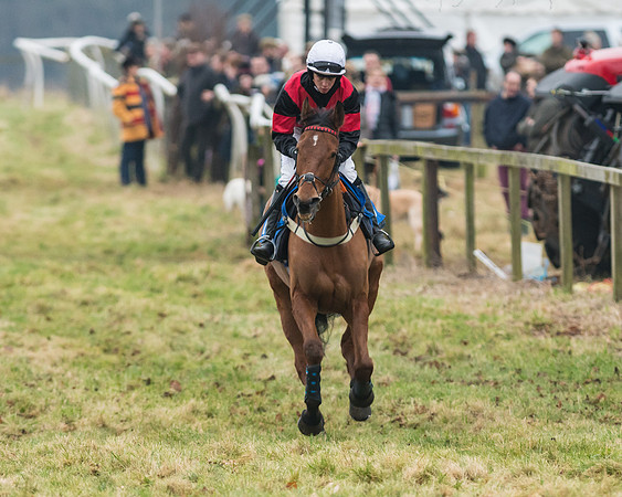 Novice Riders