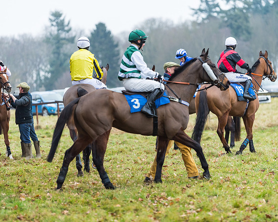 Novice Riders