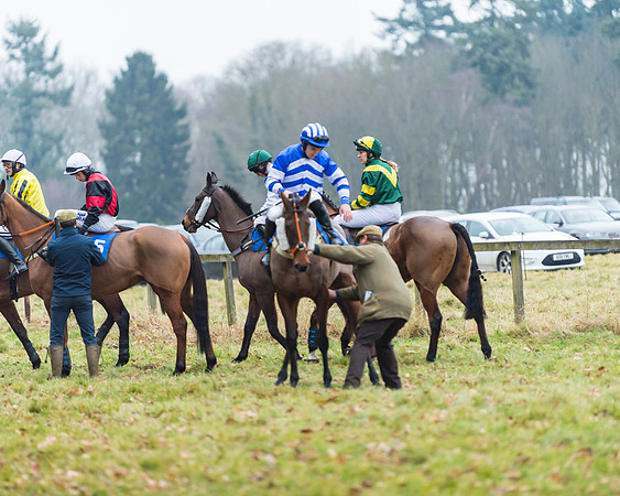 Novice Riders